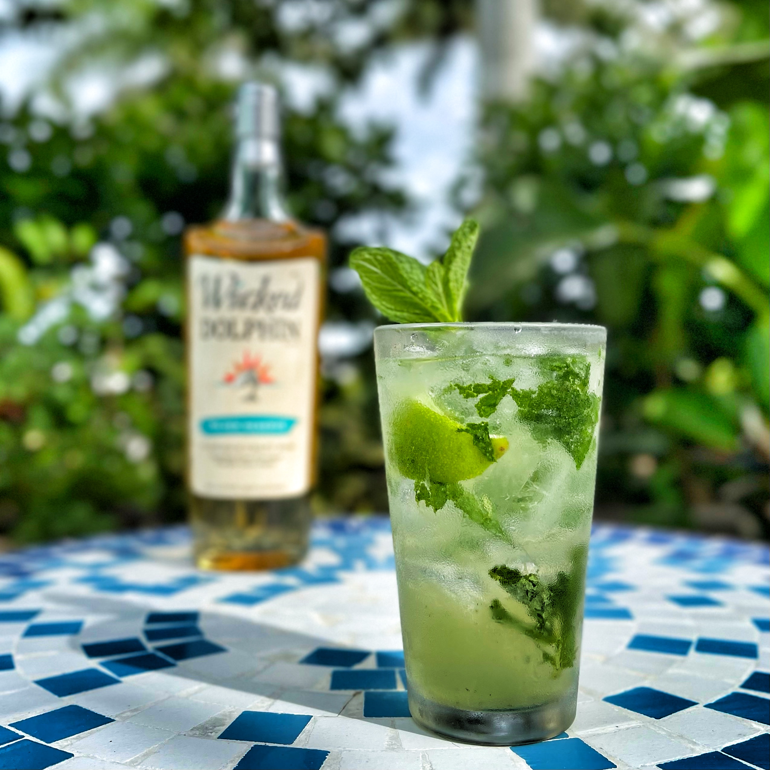 FLORIDA MOJITO - Wicked Dolphin Rum