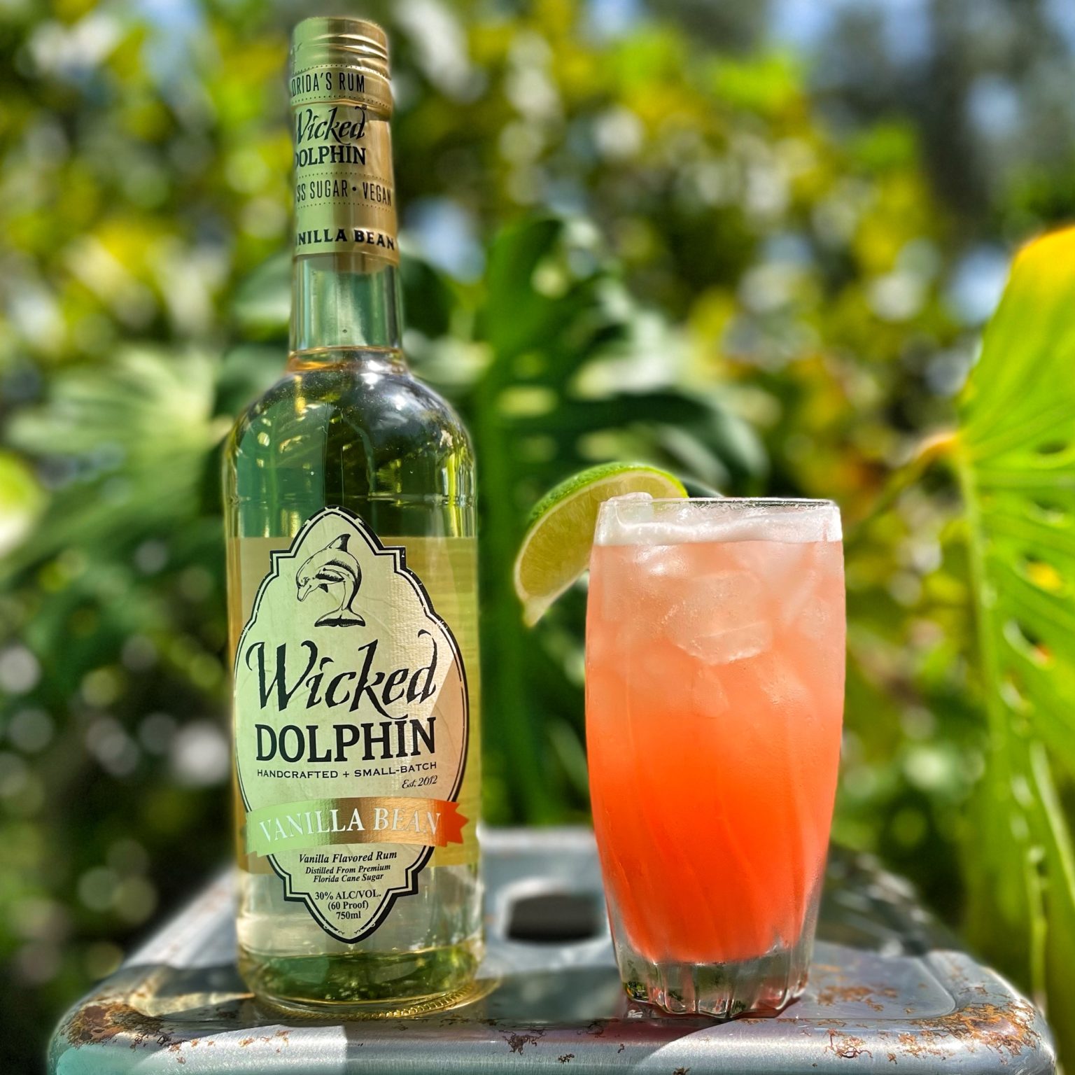 VANILLA DARK & STORMY Wicked Dolphin Rum