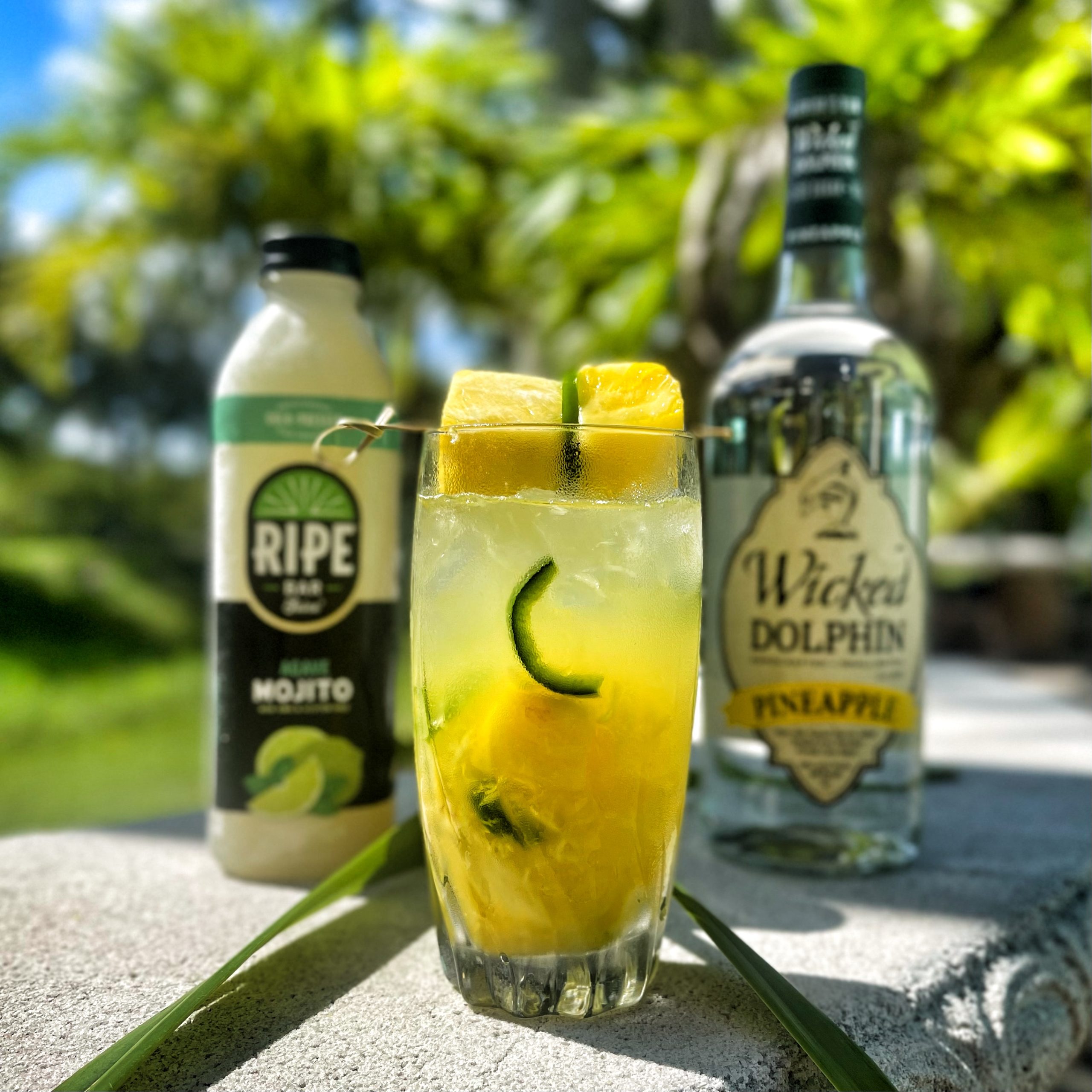 Tropical Spiced Mojito - Wicked Dolphin Rum